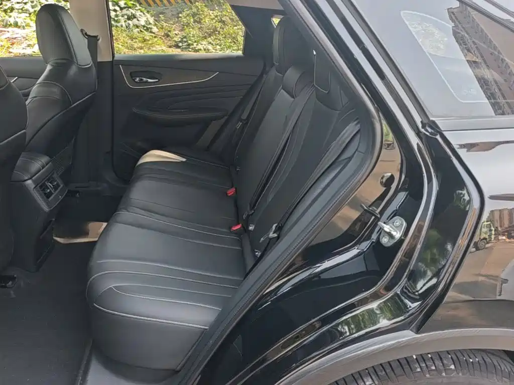 Venucia V 2023 260T Dark Horse Edition Pro купить на сайте DeffCars