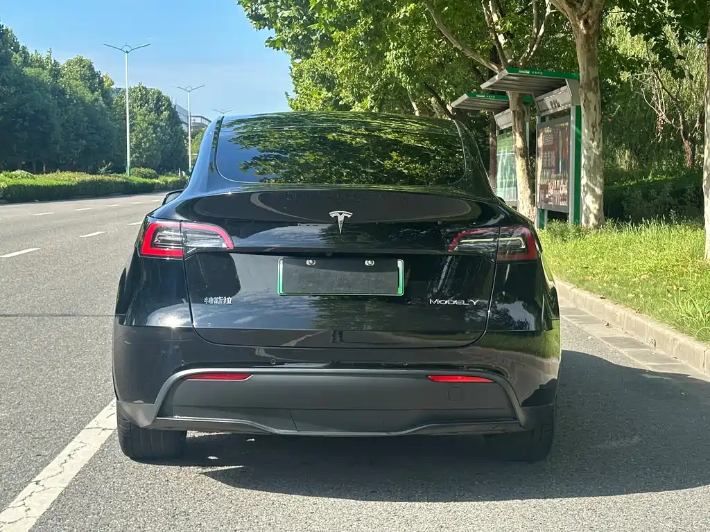 Model Y 2022 rear-wheel drive version купить на сайте DeffCars