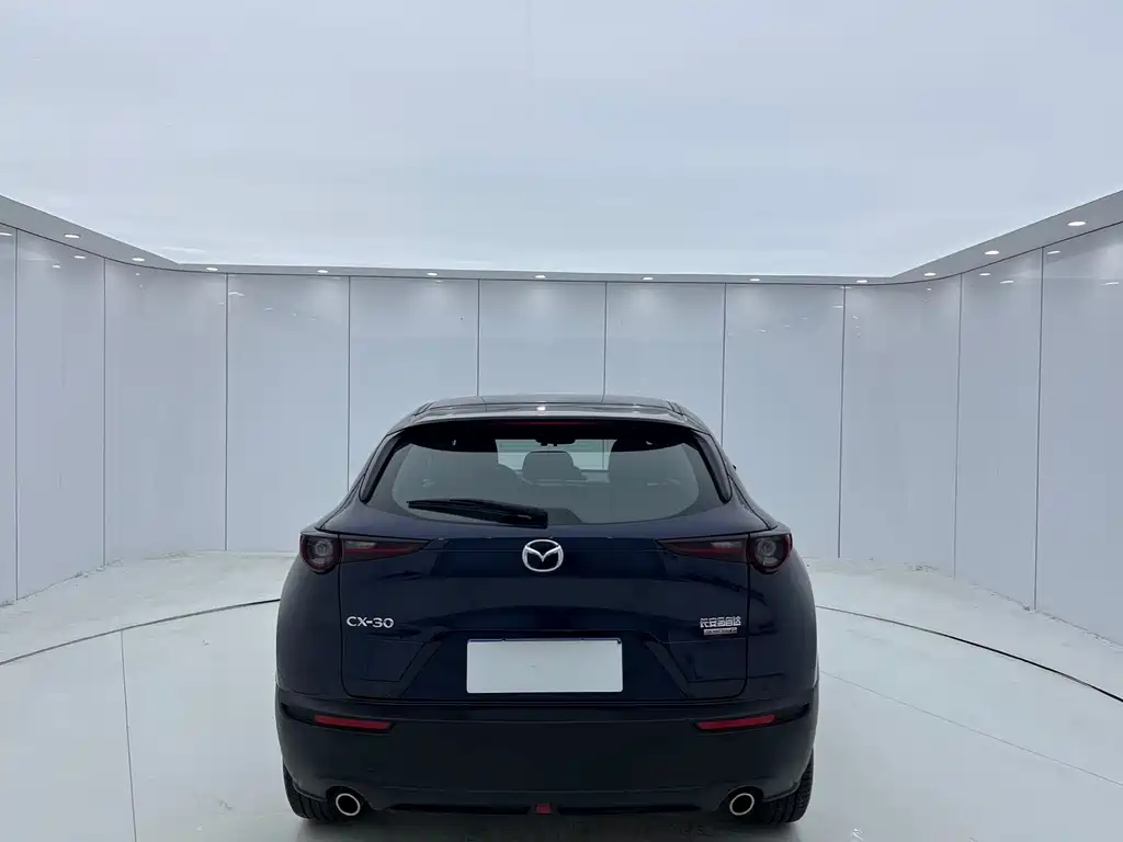 Mazda CX-30 2021 2.0L automatic Yayue type купить на сайте DeffCars
