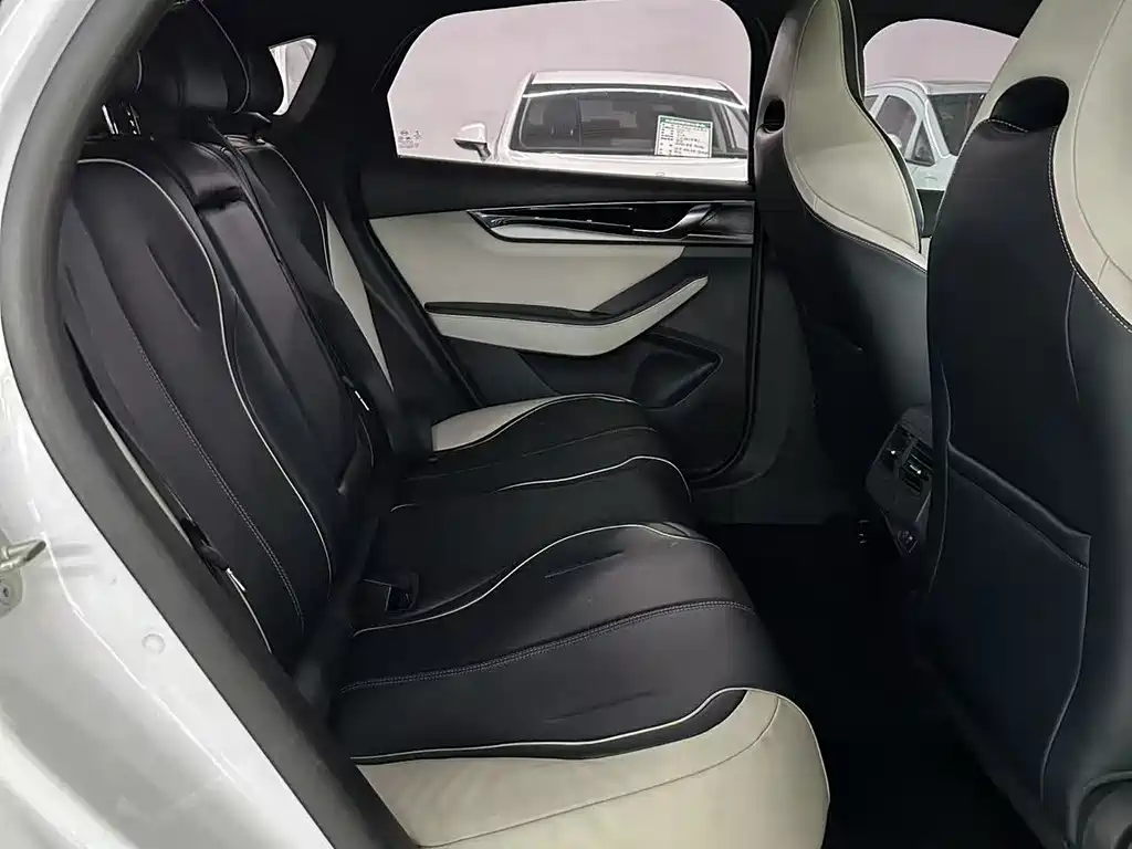 Qin PLUS 2021 EV 500KM luxury model купить на сайте DeffCars