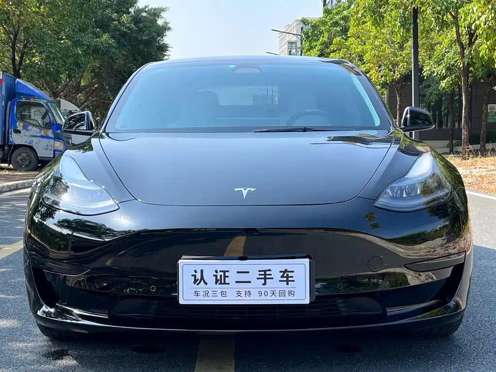 Model 3 2022 rear-wheel drive version купить на сайте DeffCars
