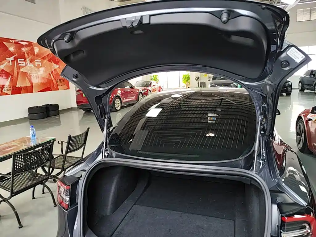 Model 3进口 2019款 长续航后驱版 купить на сайте DeffCars
