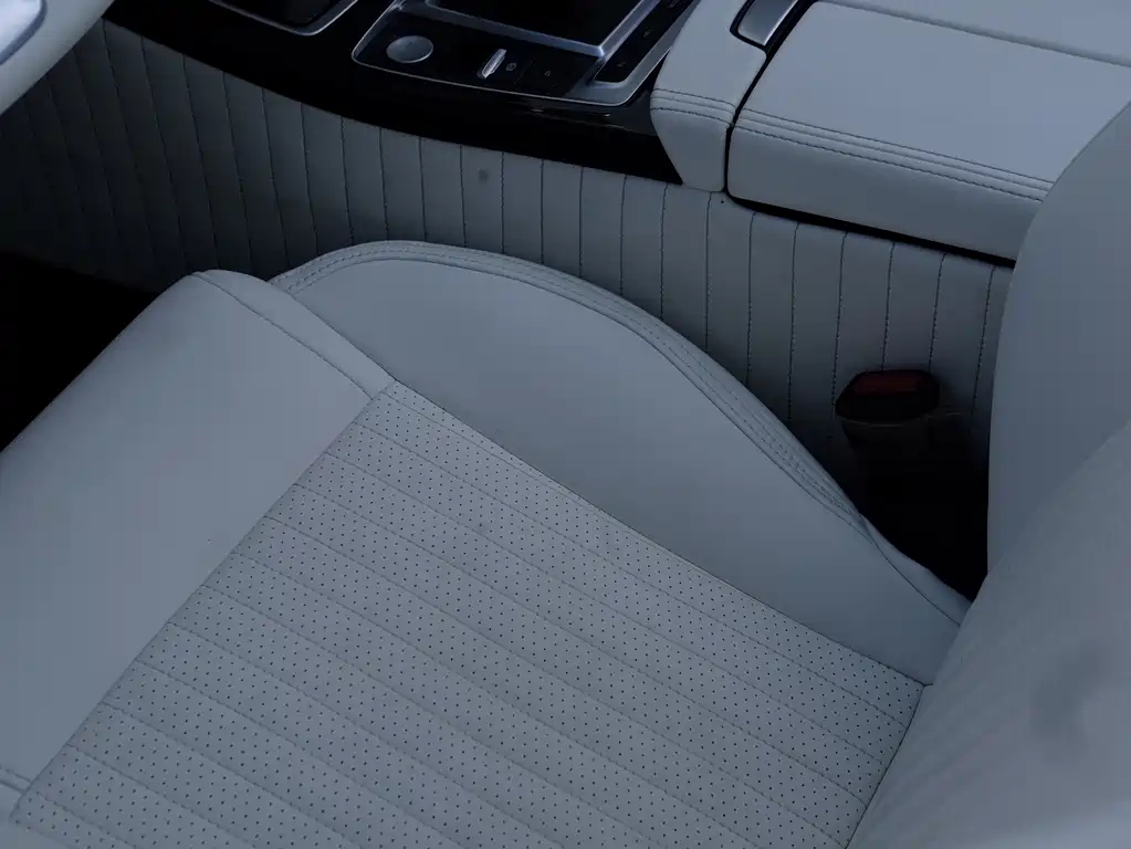 SS DOLPHIN 2021 1.5T plug-in hybrid standard model купить на сайте DeffCars