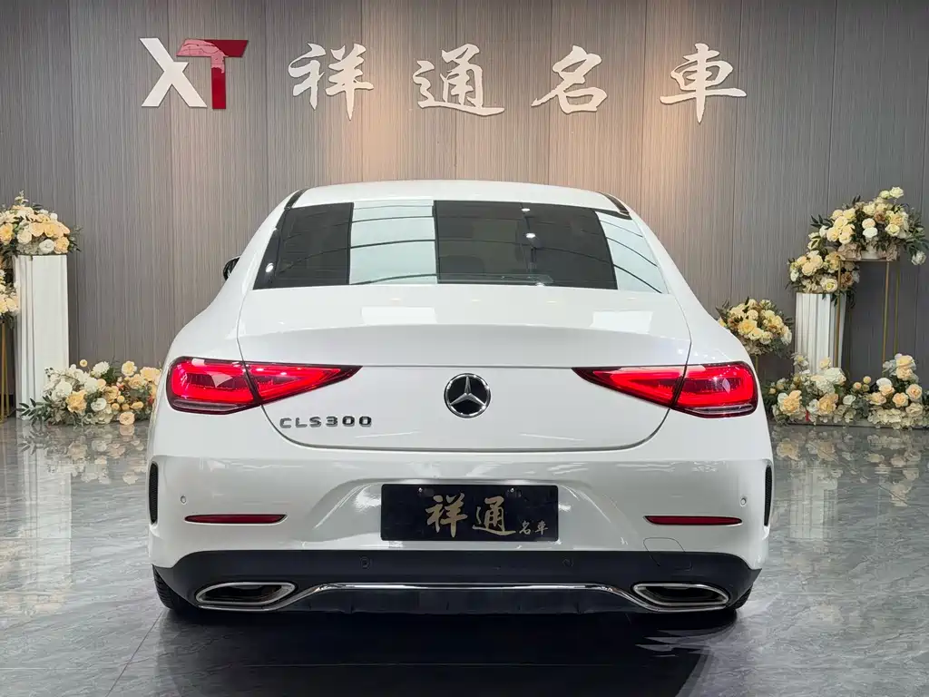 Mercedes-Benz CLS 2020 CLS 300 luxury model купить на сайте DeffCars
