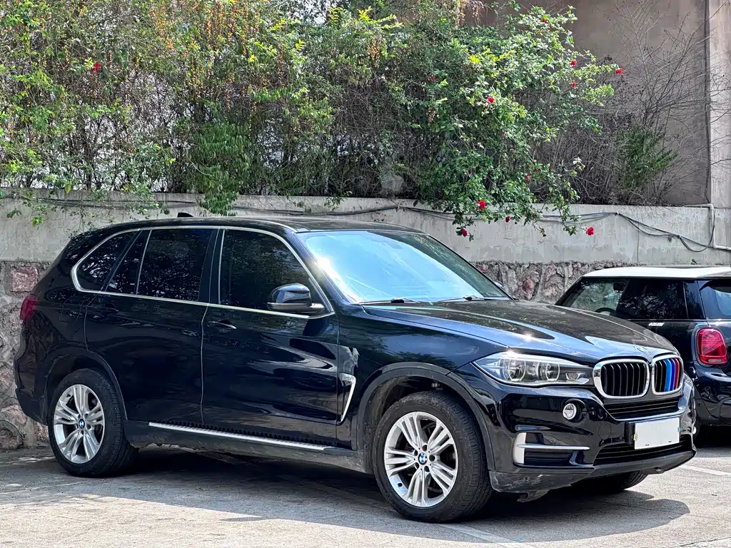 BMW X5 (imported) 2014 xDrive35i leading model купить на сайте DeffCars