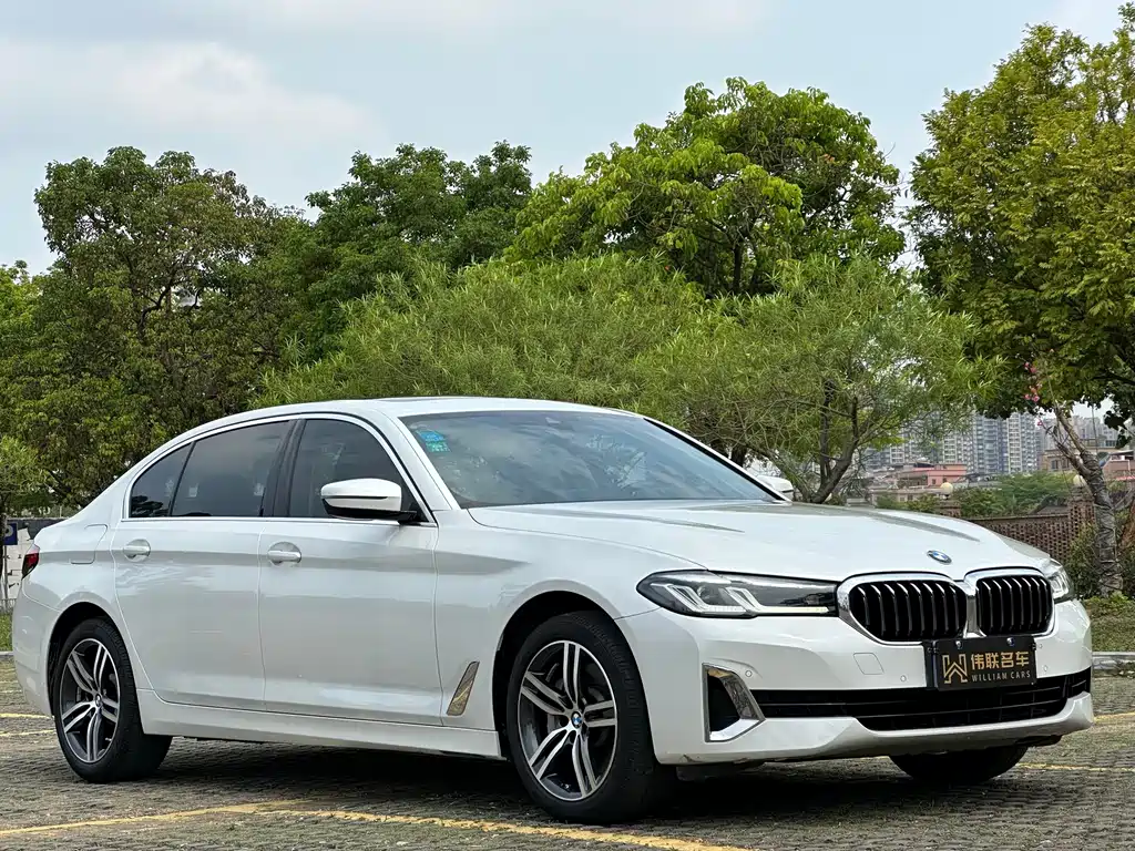 BMW 5 Series 2021 530Li Leading Luxury Package купить на сайте DeffCars