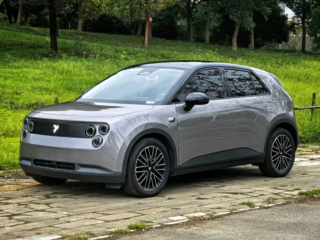 firefly firefly 2025 luminous version купить на сайте DeffCars