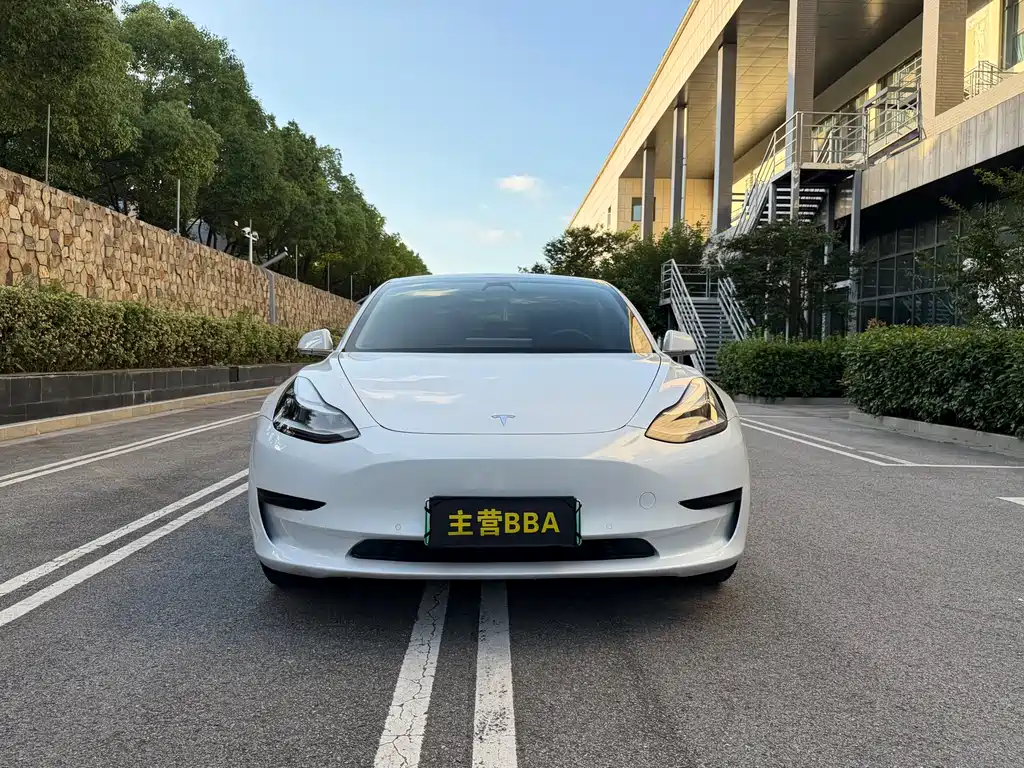 Model 3 2019 standard range rear drive upgraded version купить на сайте DeffCars