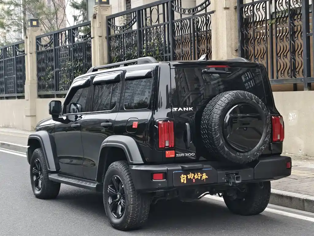 Tank 300 2023 Off-Road Version 2.0T Conqueror купить на сайте DeffCars