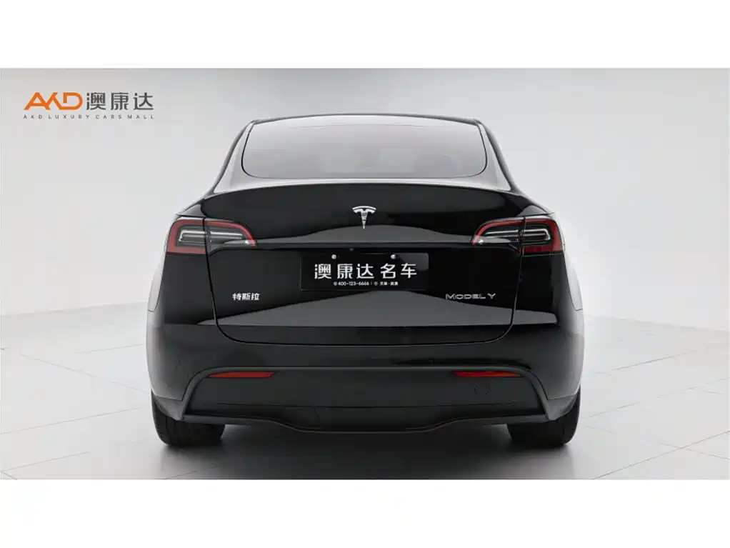 Tesla Model Y/23/rear-wheel drive version купить на сайте DeffCars