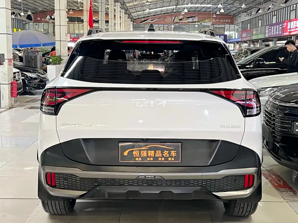 Lion Platinum Extends the World 2023 2.0T Two-wheel Drive Premium Edition купить на сайте DeffCars