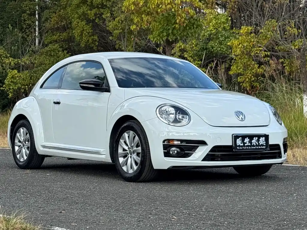 Beetle 2018 180TSI Yile Type купить на сайте DeffCars