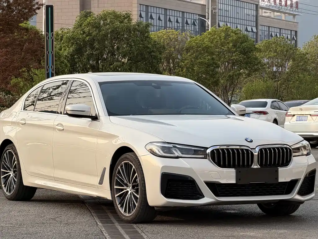 BMW 5 Series 2021 530Li Leading M Sports Package купить на сайте DeffCars
