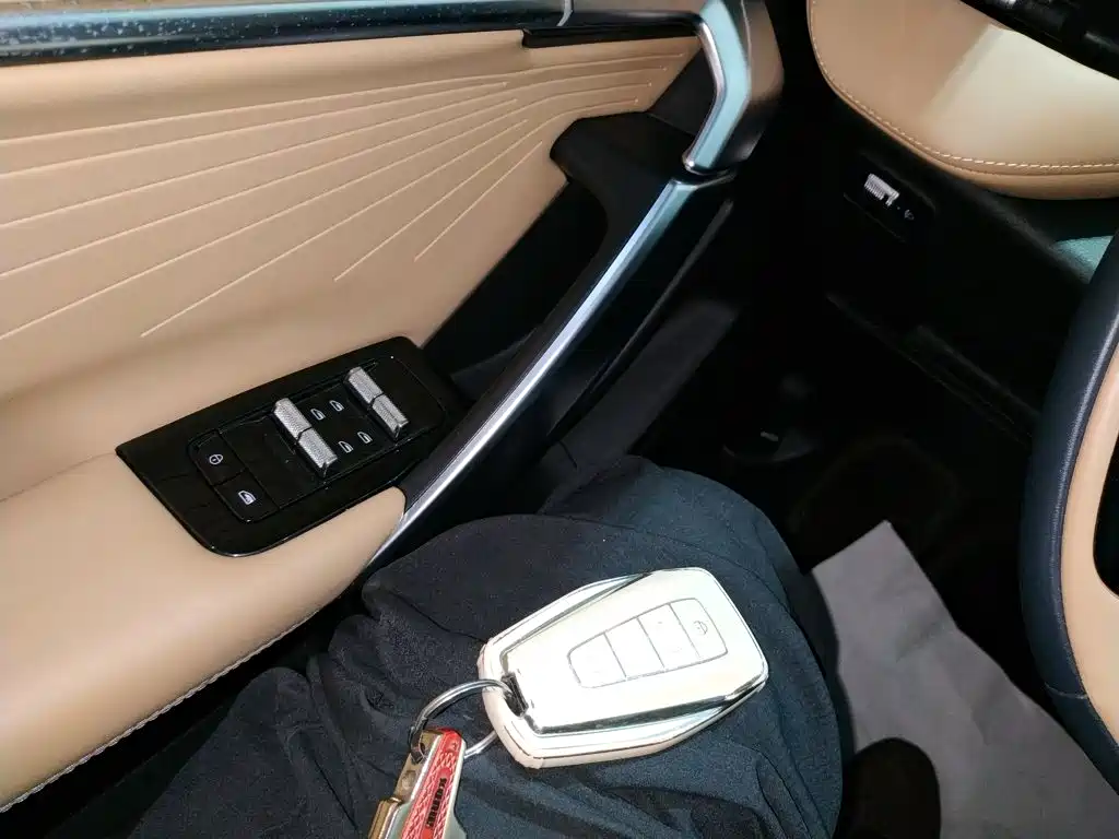 Boyue L 2023 2.0TD DCT flagship model купить на сайте DeffCars