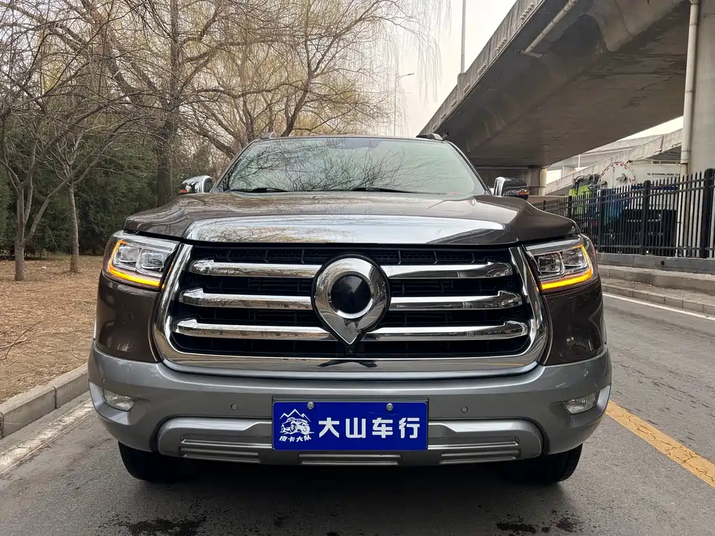 Cannon 2021 2.0T passenger global version automatic gasoline four-wheel drive exclusive standard box GW4C20B купить на сайте DeffCars