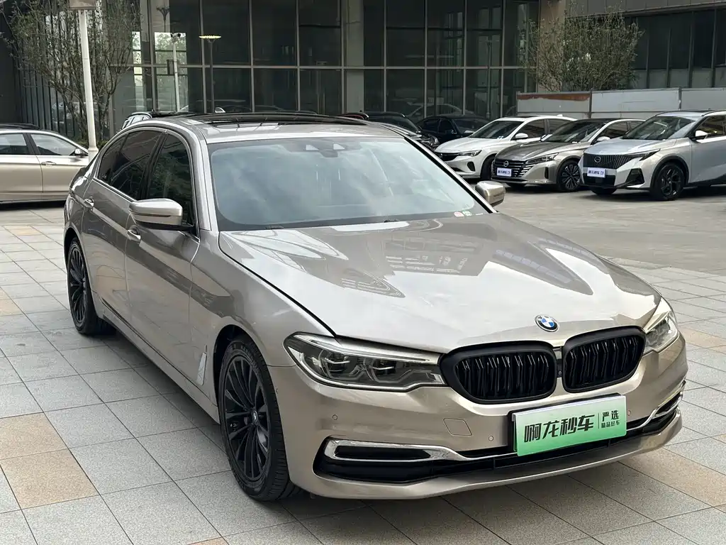 BMW 5 Series New Energy 2019 Model 530Le Luxury Package купить на сайте DeffCars