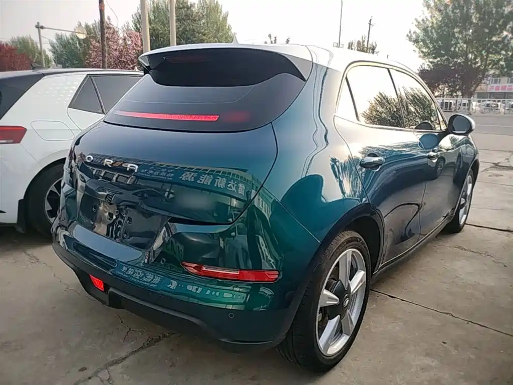 Euler Good Cat 2021 model 400km standard battery life Venus version ternary lithium купить на сайте DeffCars