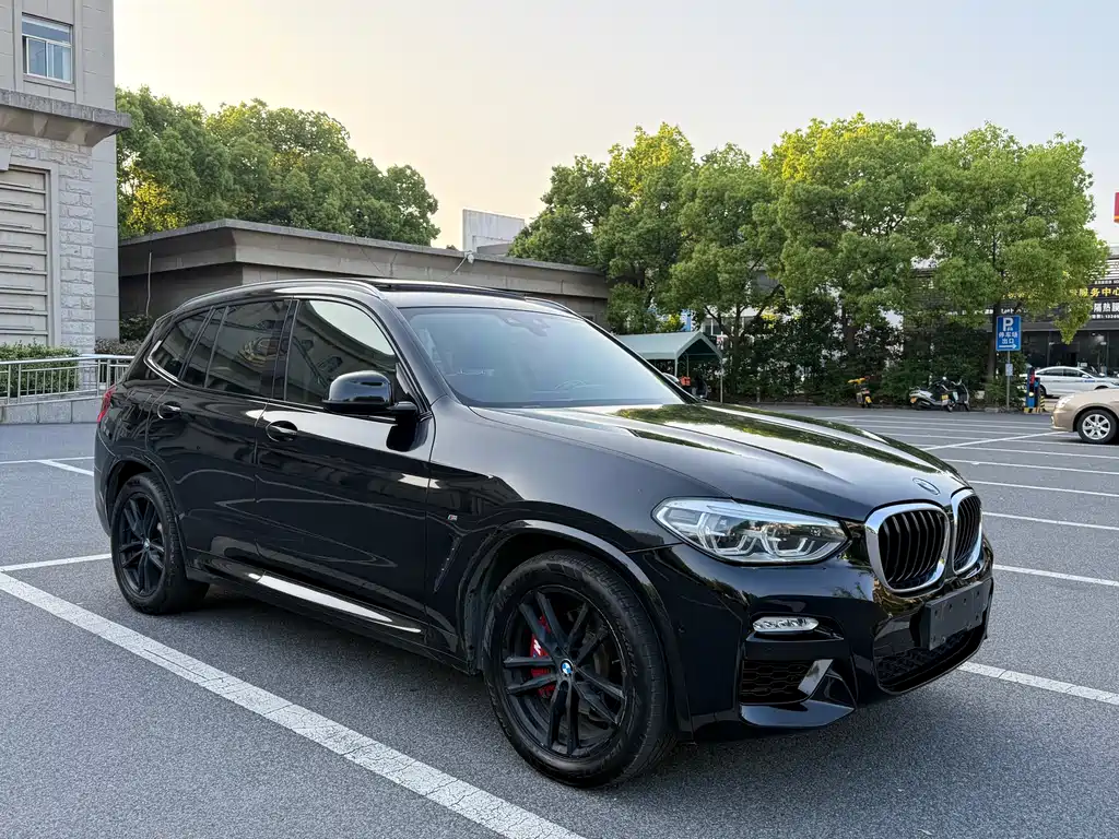 BMW X3 2018 xDrive25i M Sports Package National VI купить на сайте DeffCars
