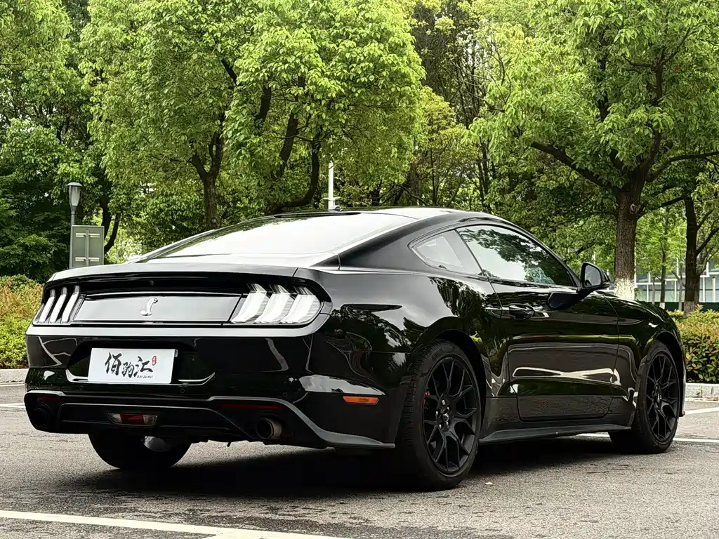 Mustang 2019 2.3L EcoBoost купить на сайте DeffCars