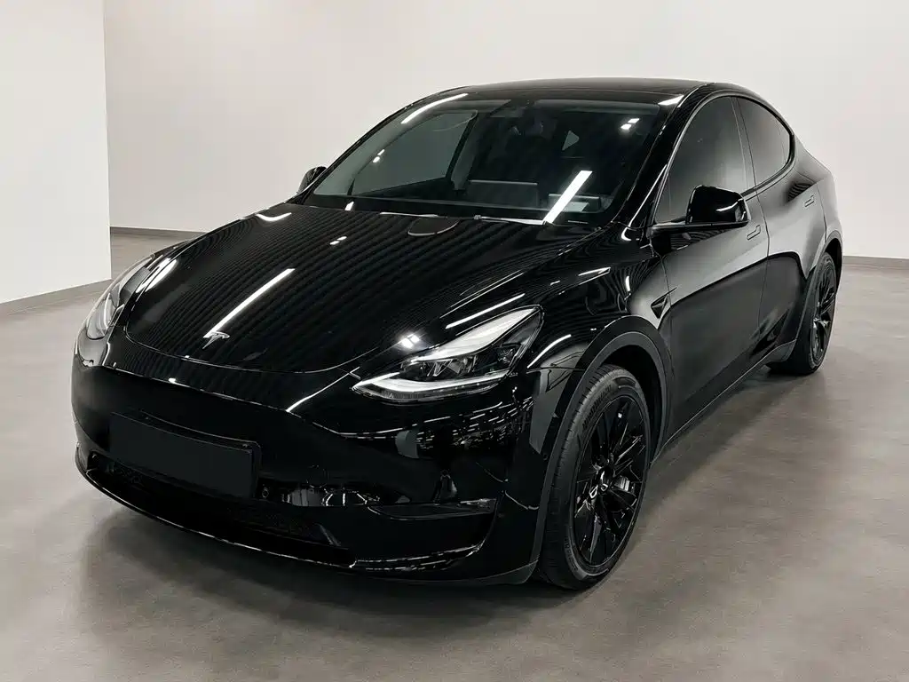 Model Y 2021 standard range rear-wheel drive version купить на сайте DeffCars