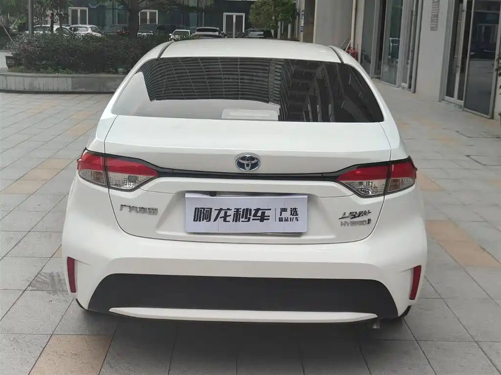 Ralink 2022 Dual Engine 1.8H E-CVT Leading Edition купить на сайте DeffCars