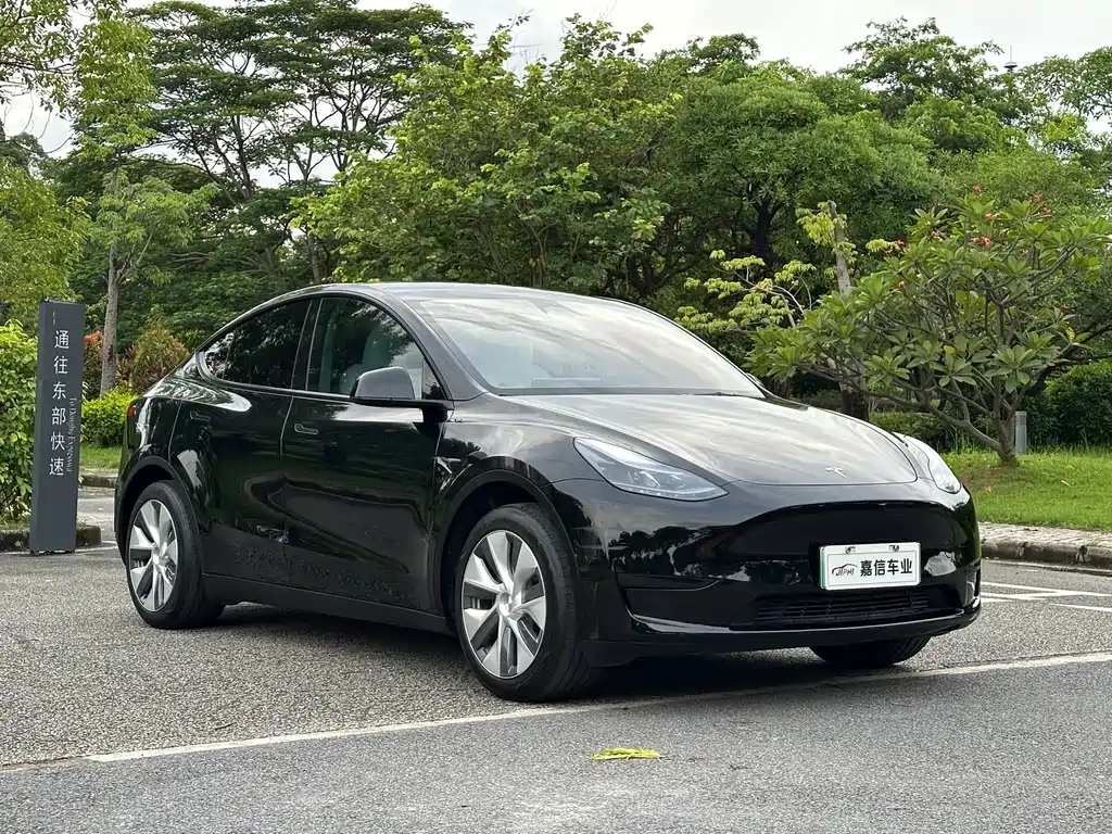 Model Y 2022 modified rear-wheel drive version купить на сайте DeffCars