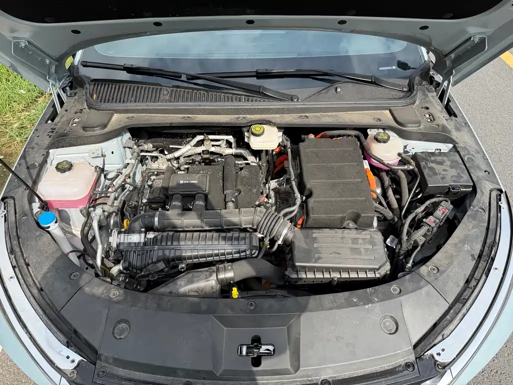 Qin L 2024 DM-i 120KM leading model купить на сайте DeffCars