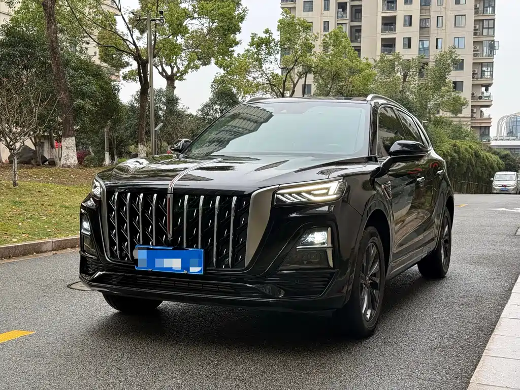 Hongqi HS5 2025 2.0T two-wheel drive Qixiang Pro version купить на сайте DeffCars
