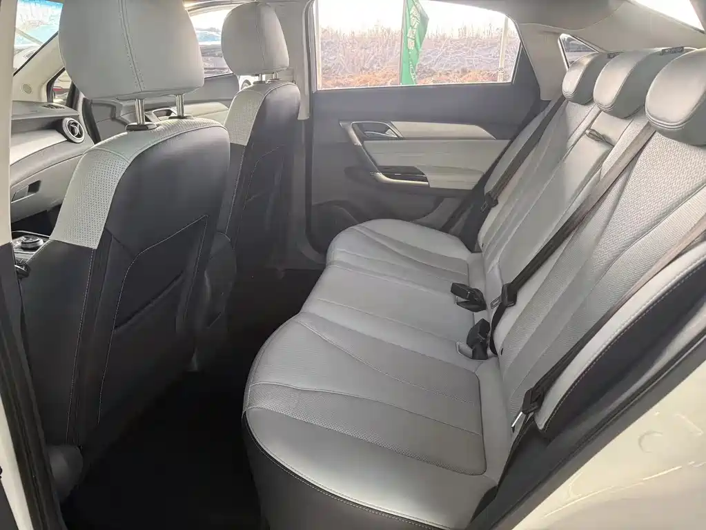 Beijing EU5 2018 R550 Smart Edition купить на сайте DeffCars
