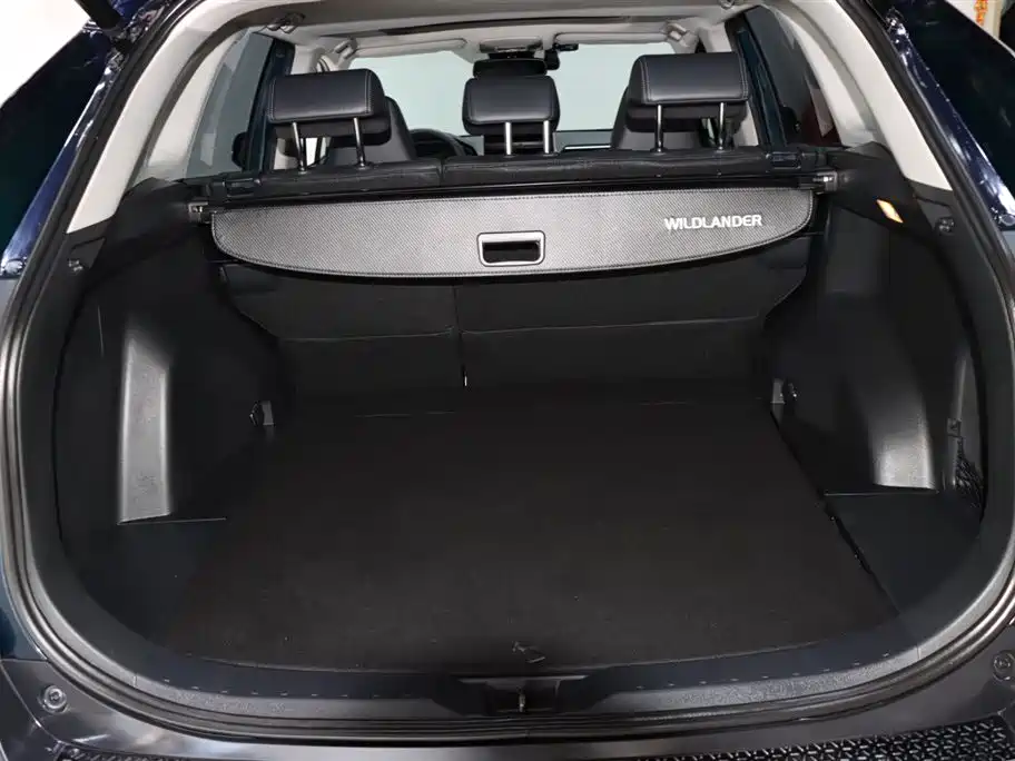 Wilanda 2020 2.0L CVT four-wheel drive premium version купить на сайте DeffCars