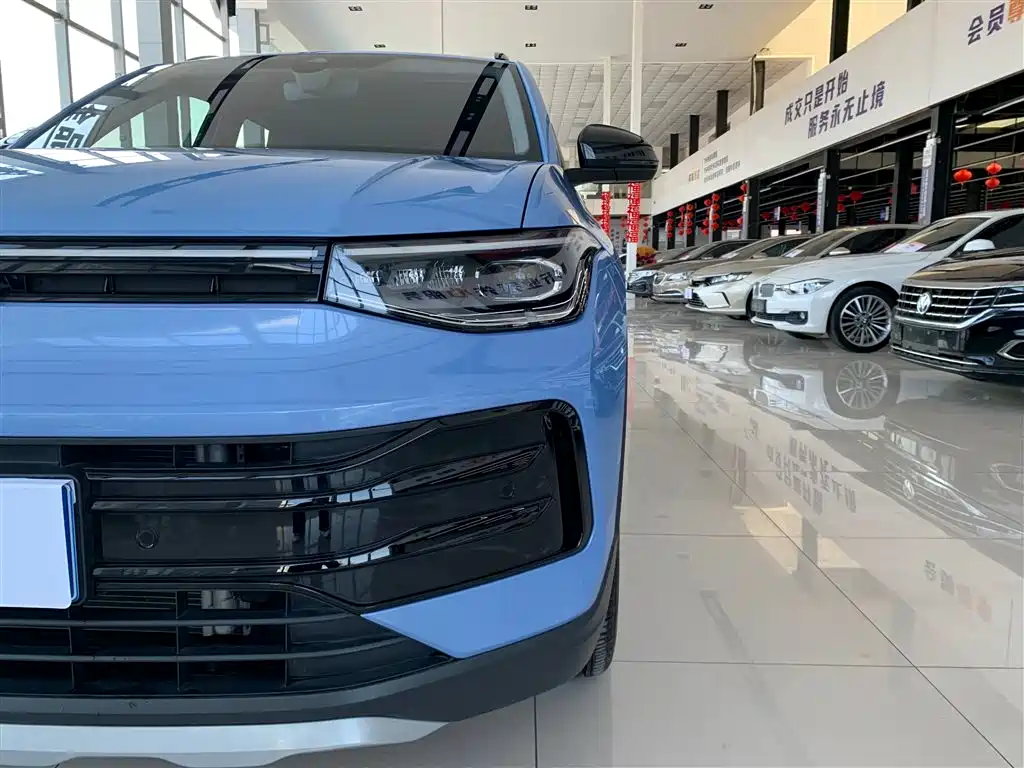 Tuyue 2025 Xinrui 300TSI Ruixiang Edition купить на сайте DeffCars