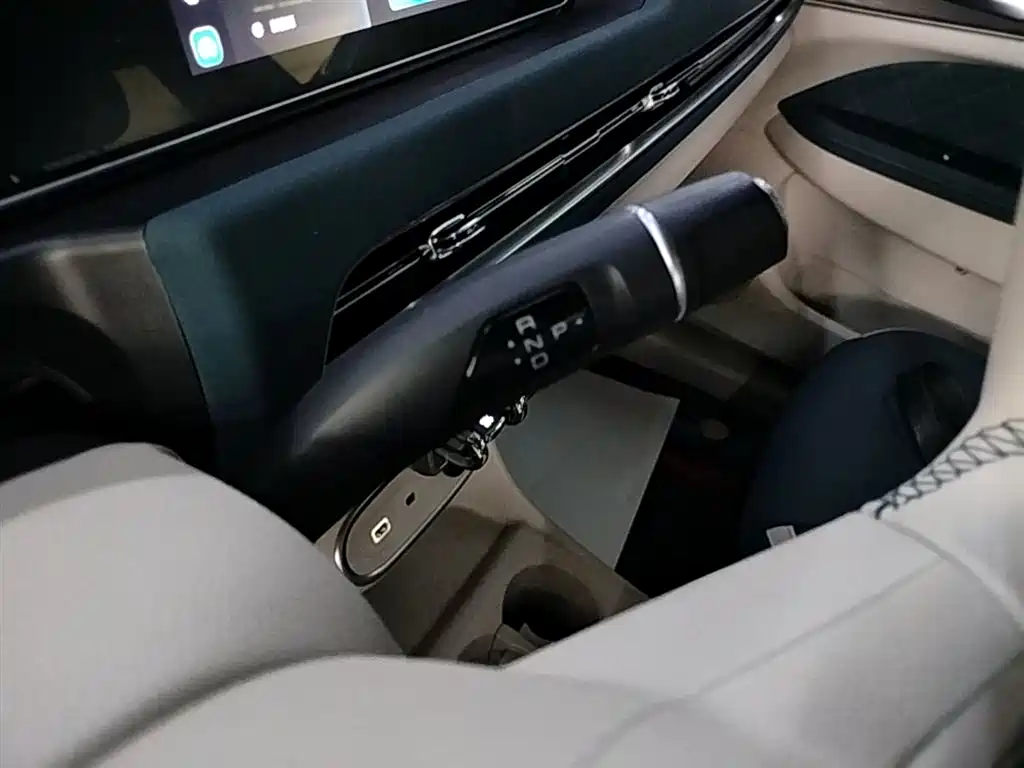 Euler Good Cat 2023 model 401km standard battery life luxury model lithium iron phosphate купить на сайте DeffCars