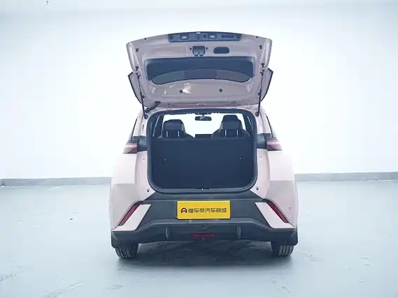 Seagull 2025 305km active version купить на сайте DeffCars
