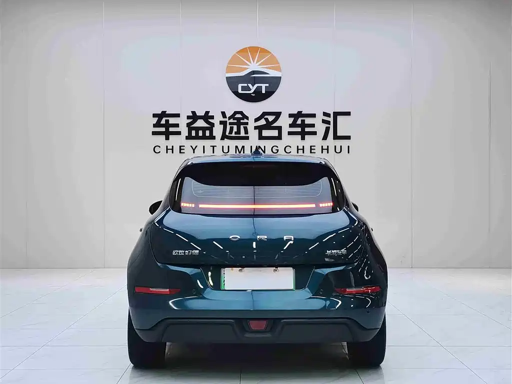 Euler Good Cat 2023 Model 501km Long Range Honor Model Lithium Iron Phosphate купить на сайте DeffCars