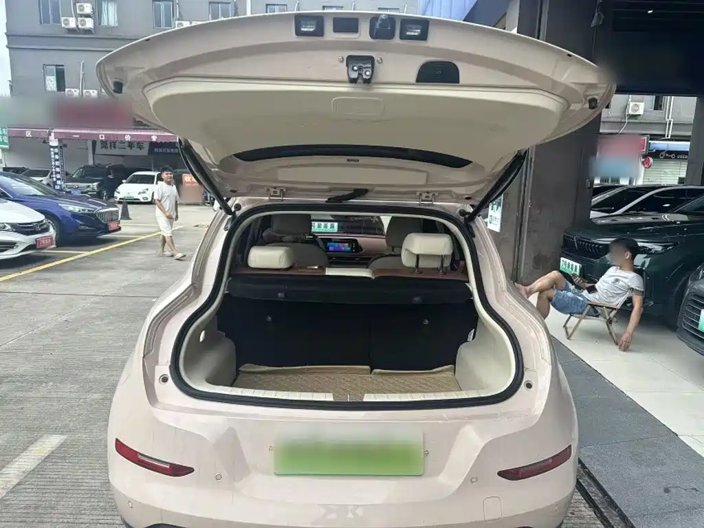 Euler Good Cat 2023 model 401km standard battery life premium type lithium iron phosphate купить на сайте DeffCars