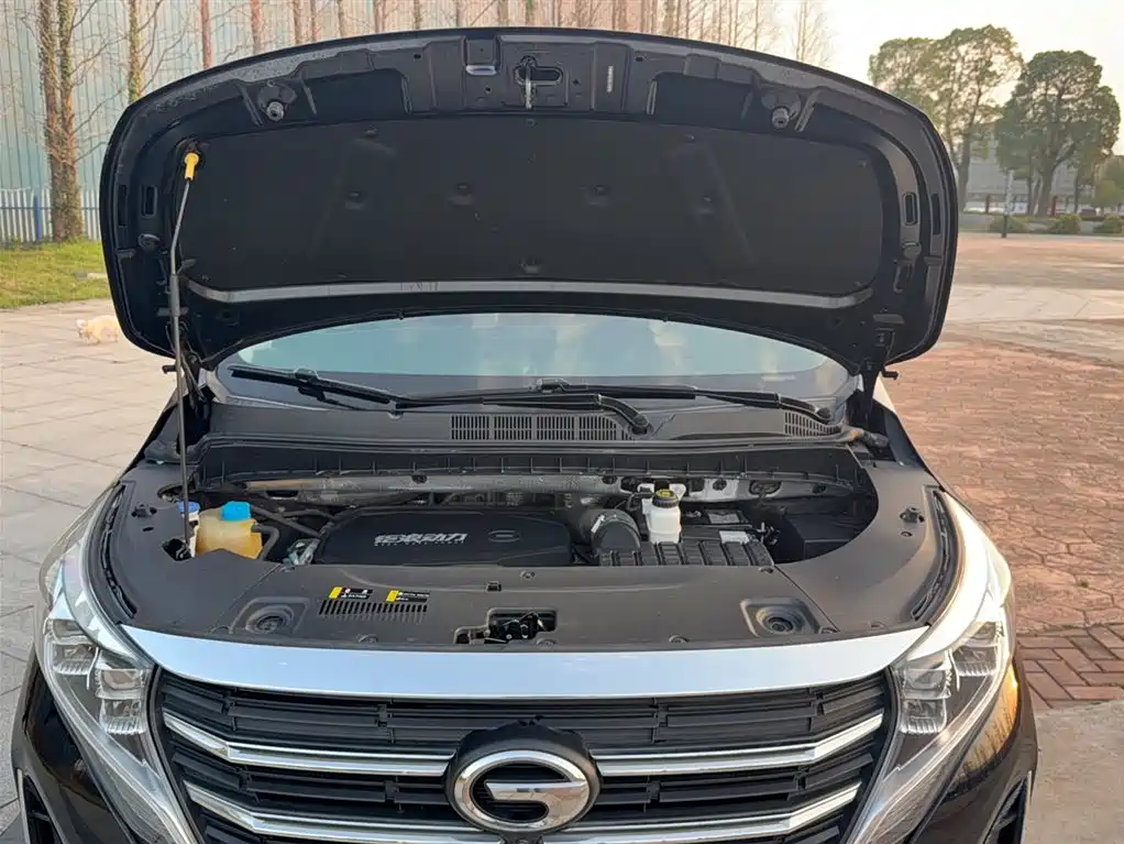 Trumpchi M8 2021 Facelift Lingxiu Series 390T Deluxe Edition купить на сайте DeffCars