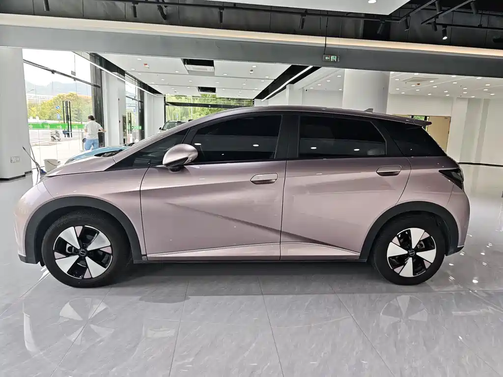 Dolphin 2023 420km Fashion Edition купить на сайте DeffCars
