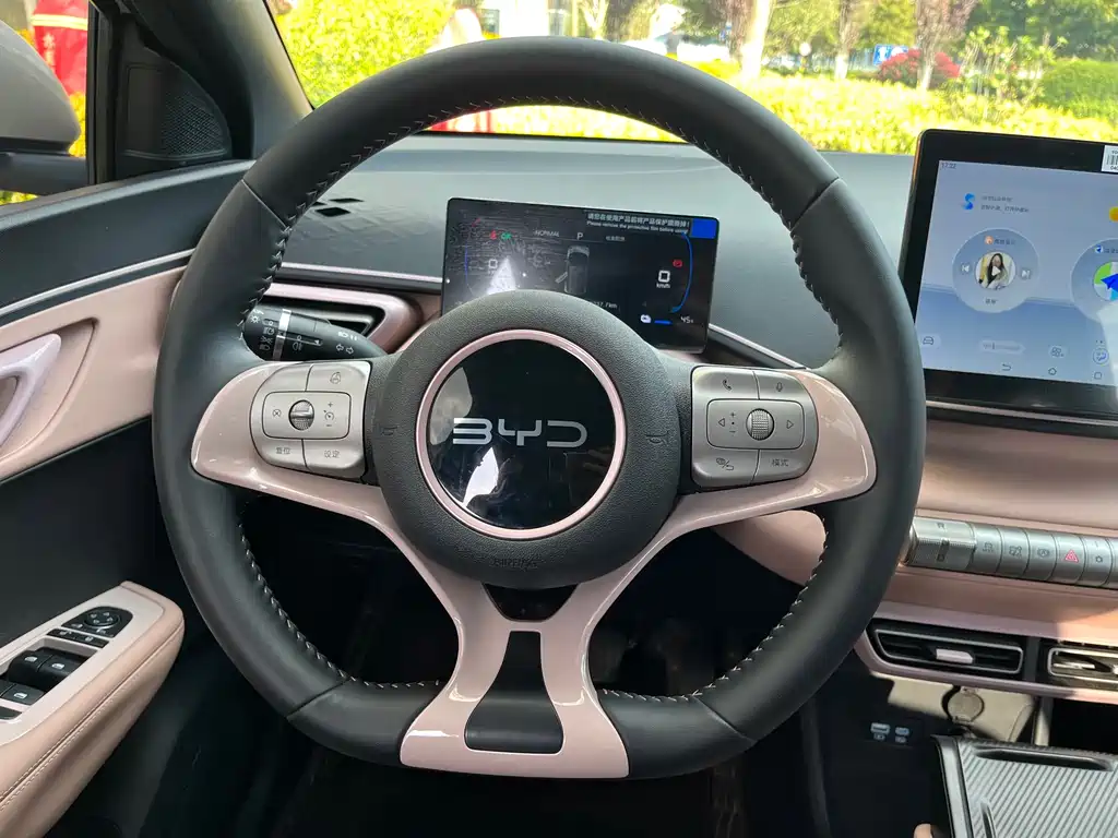 Seagull 2025 model 305km free version купить на сайте DeffCars