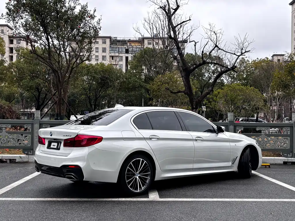BMW 5 Series 2020 530Li Exclusive M Sports Package купить на сайте DeffCars