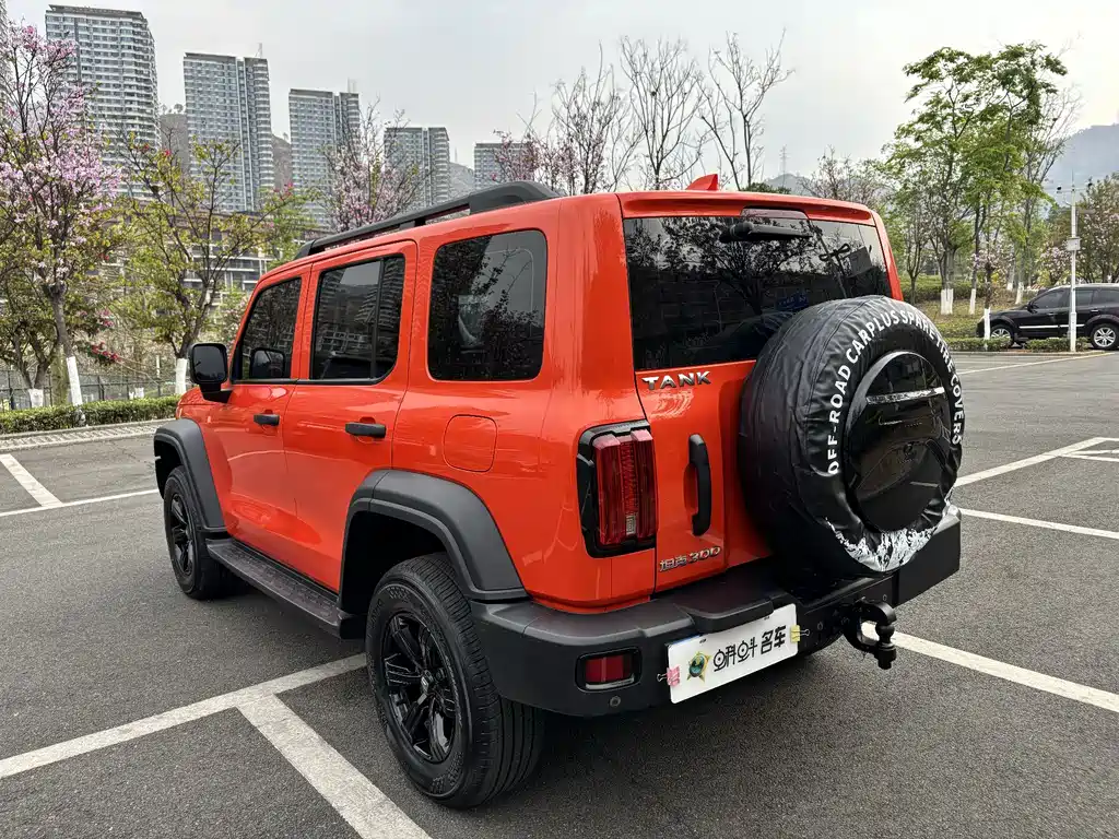 Tank 300 2023 Off-Road Version 2.0T Conqueror купить на сайте DeffCars