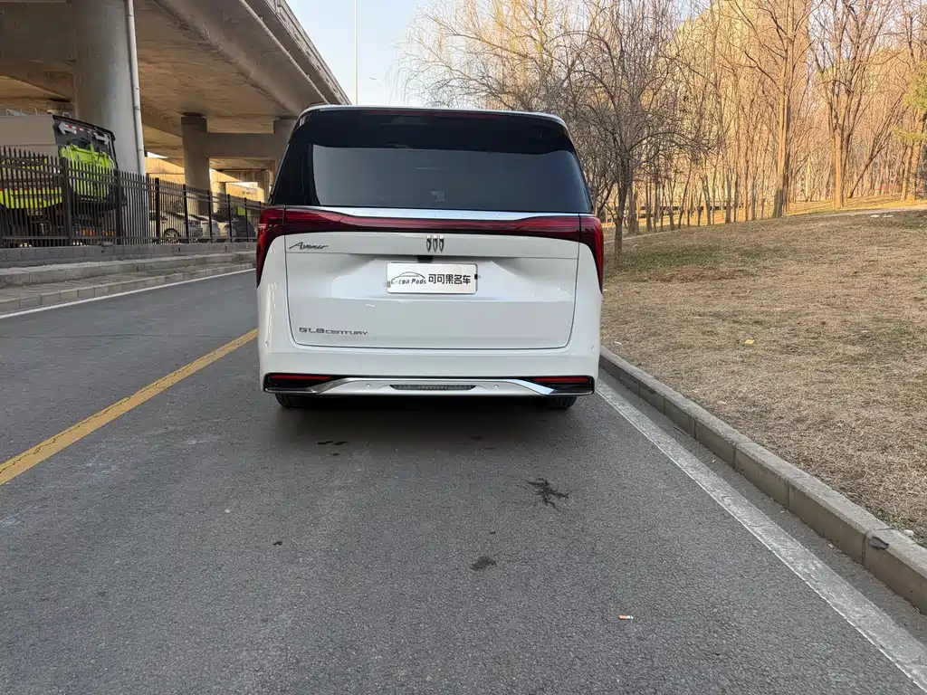 Century 2023 2.0T Six-seater Yuanshi Edition купить на сайте DeffCars