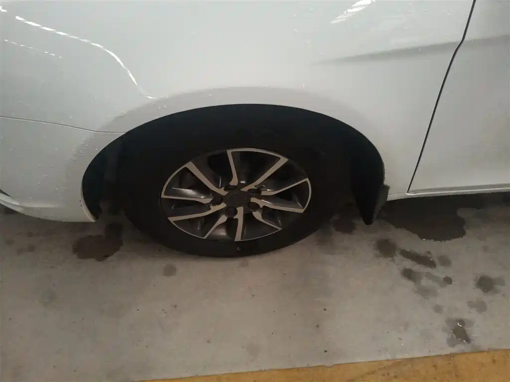 Emgrand 2019 Leading Edition 1.5L CVT Luxury Type National VI купить на сайте DeffCars