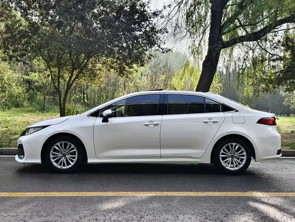 Asia Lion 2023 2.0L Elite Edition купить на сайте DeffCars