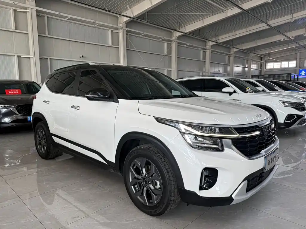 Sethus 2023 1.5L CVT Deluxe Edition купить на сайте DeffCars