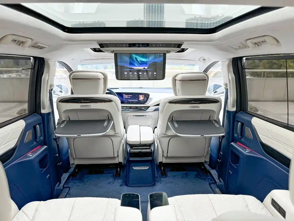 Century 2025 2.0T seven-seat Yuanshi Edition купить на сайте DeffCars