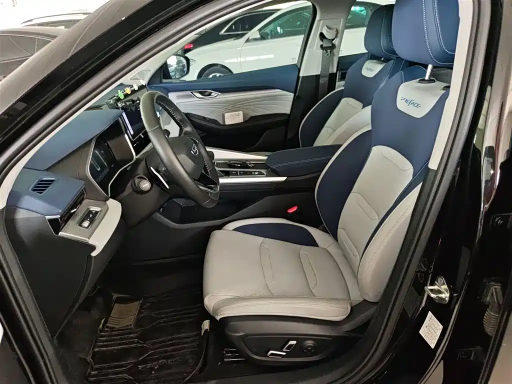 Xingrui 2023 2.0TD Premium Model купить на сайте DeffCars