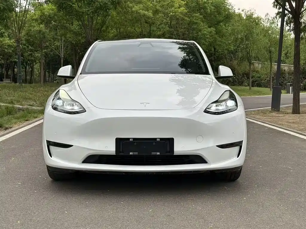 Model Y 2021 long-range all-wheel drive version купить на сайте DeffCars