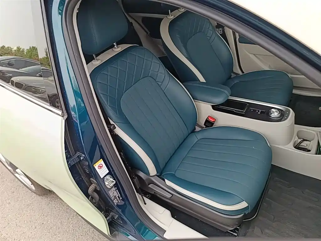 Euler Good Cat 2021 model 400km standard battery life Athena version ternary lithium купить на сайте DeffCars