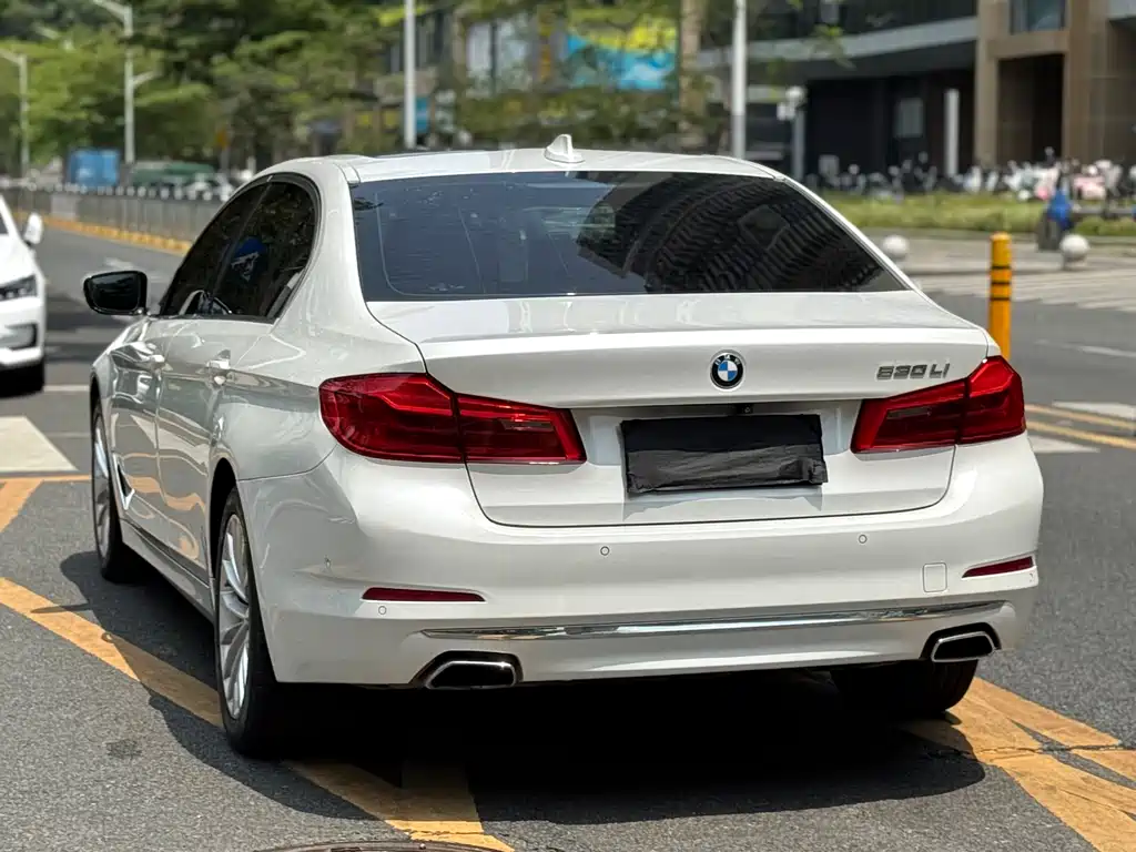 BMW 5 Series 2020 530Li Exclusive Luxury Package купить на сайте DeffCars