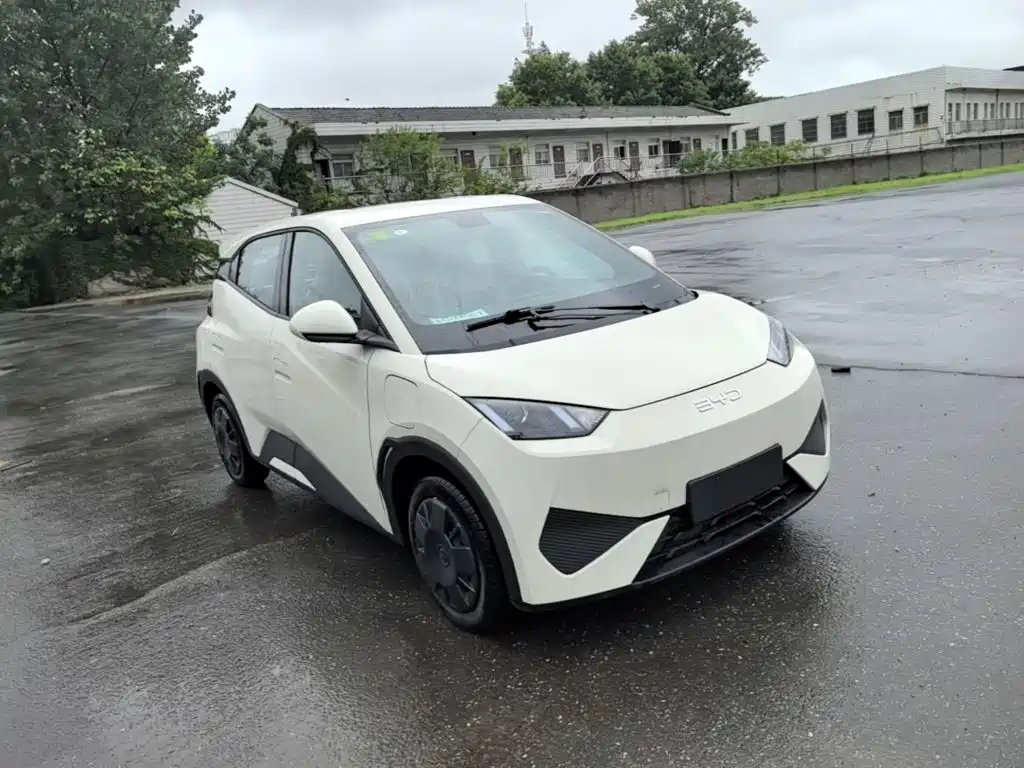 Seagull 2025 Smart Driving Edition 305km Dynamic купить на сайте DeffCars